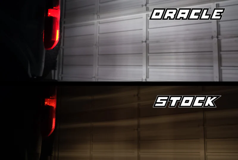 Thumbnail 11
